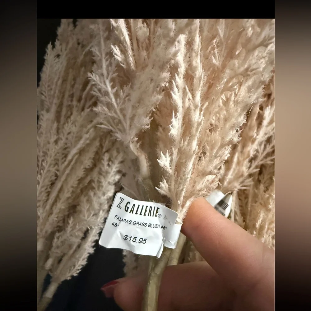 Z Gallerie Pampas Grass set of 14